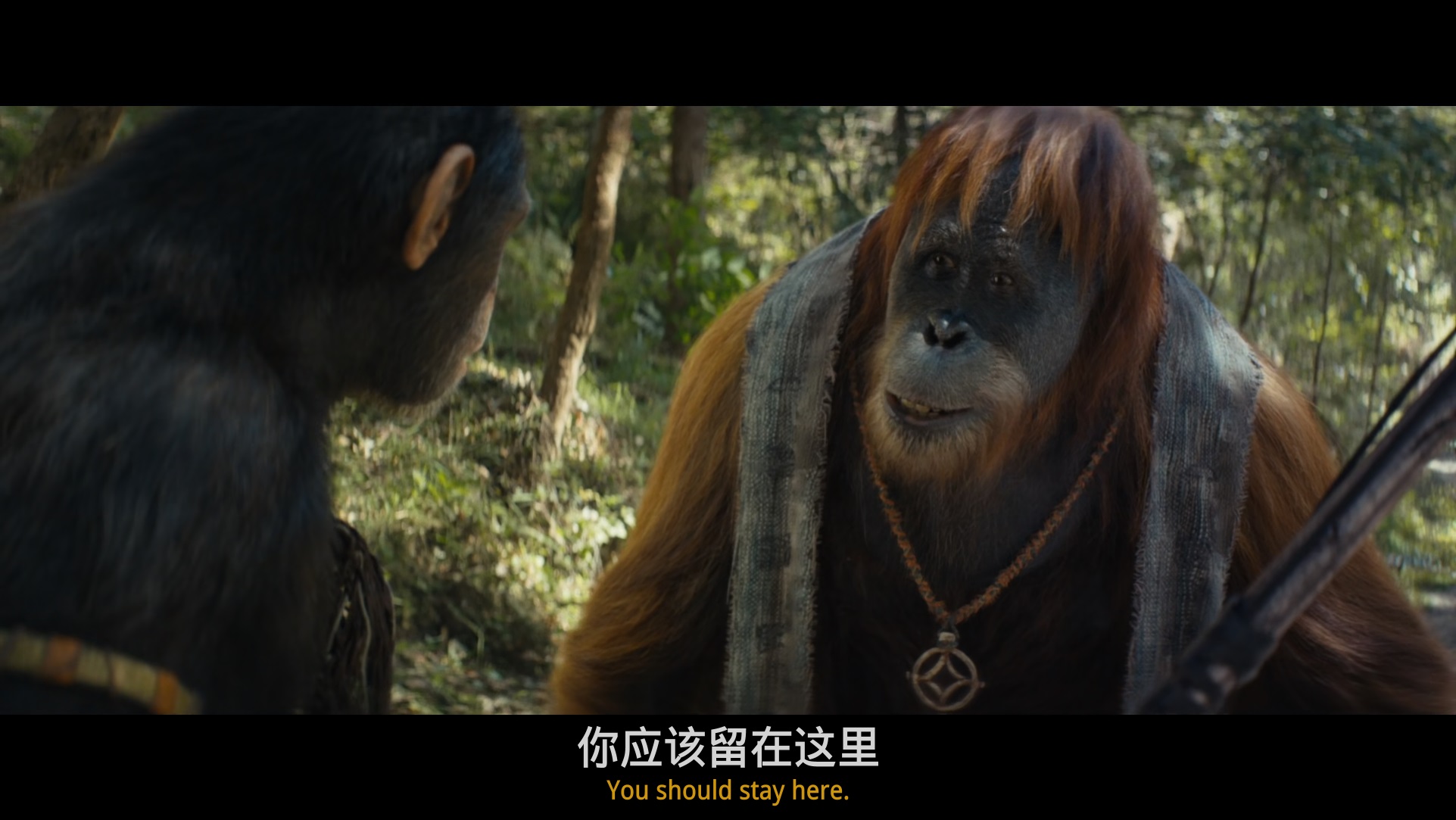 微信图片_20240904111144.jpg