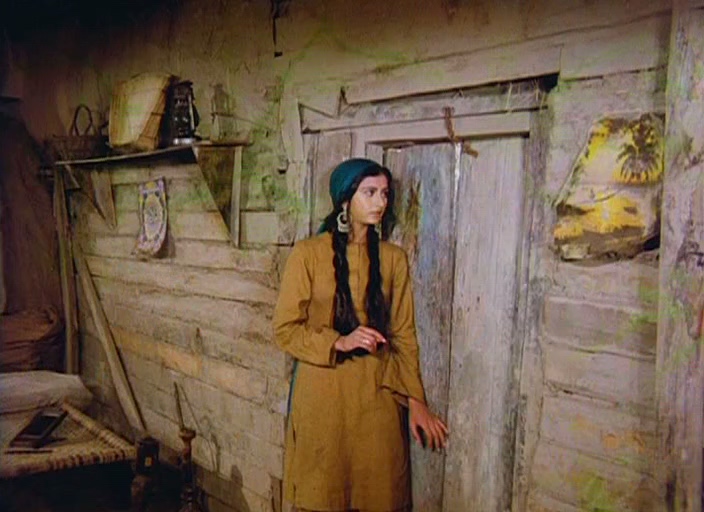 奴里(印度.1979年)上译、印度语双音轨.DVDRip.264xAC3x704x512.nwldy.mkv_20241014_16.jpg