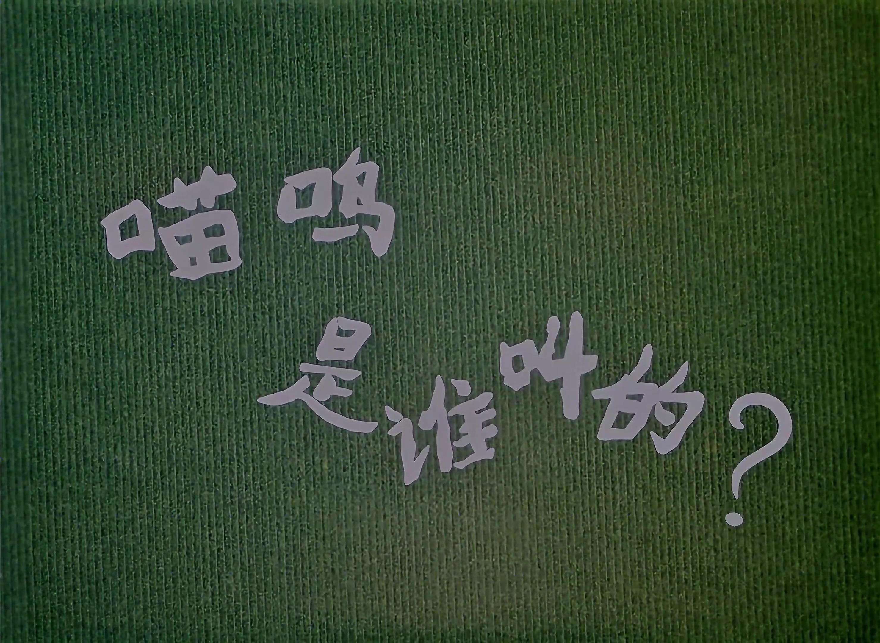 1979.喵呜是谁叫的.mp4_20241021_115304.983.jpg