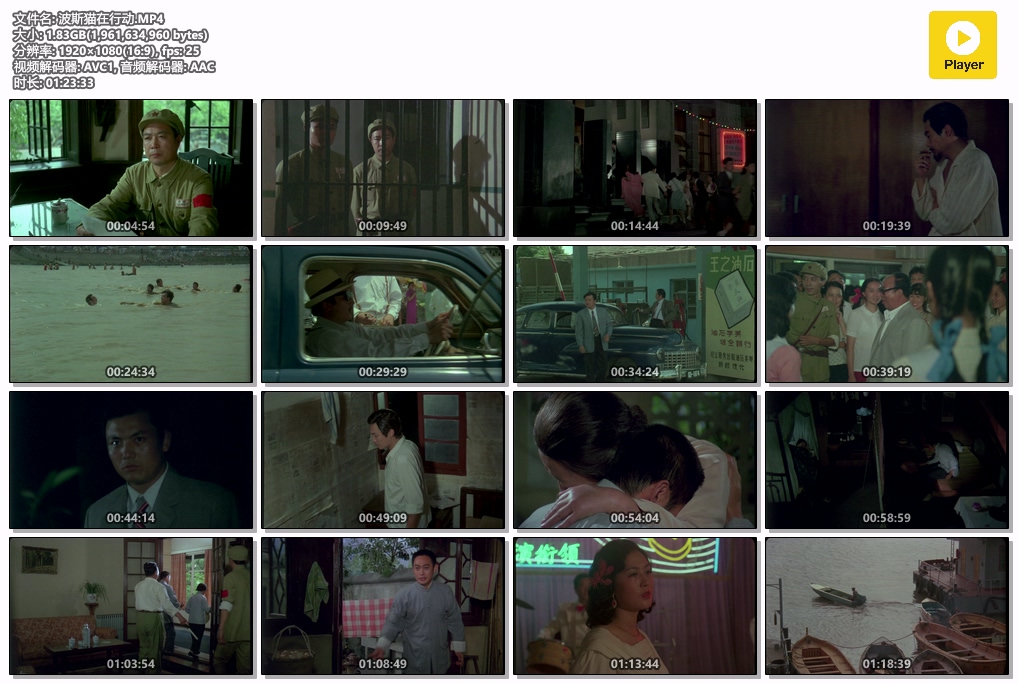 波斯猫在行动.MP4.jpg