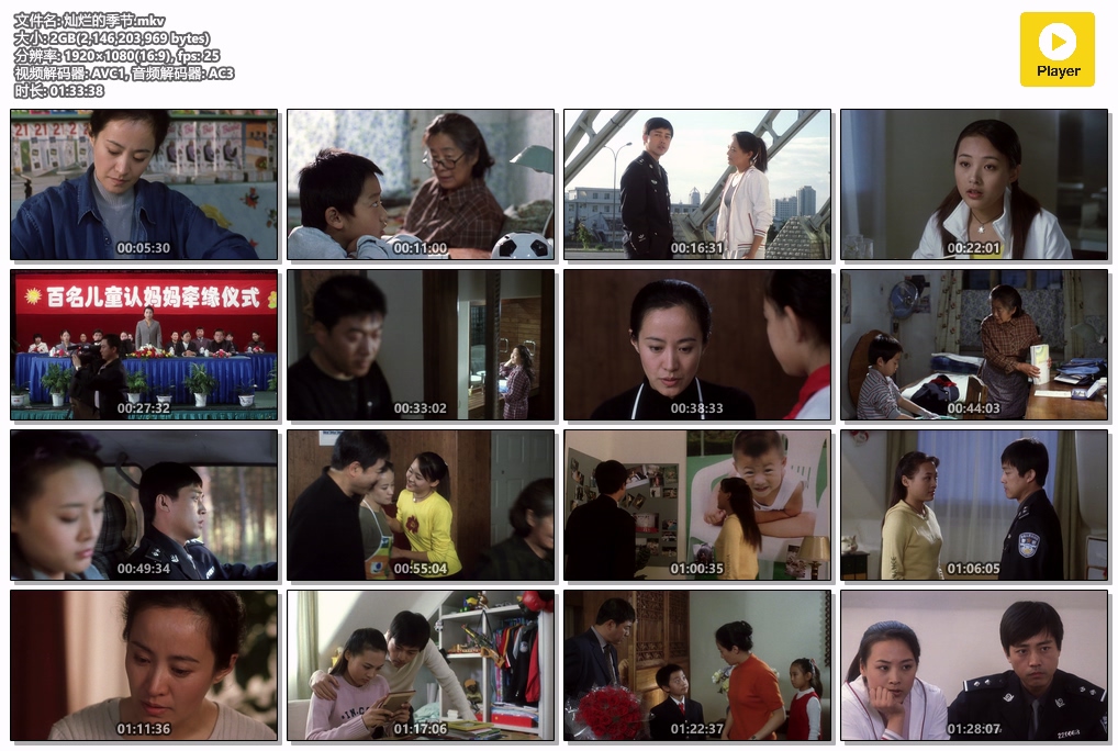 灿烂的季节.mkv.jpg