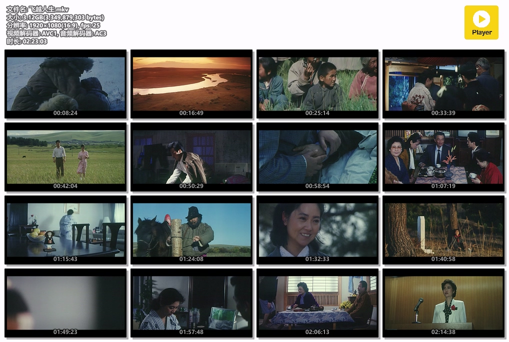 飞越人生.mkv.jpg