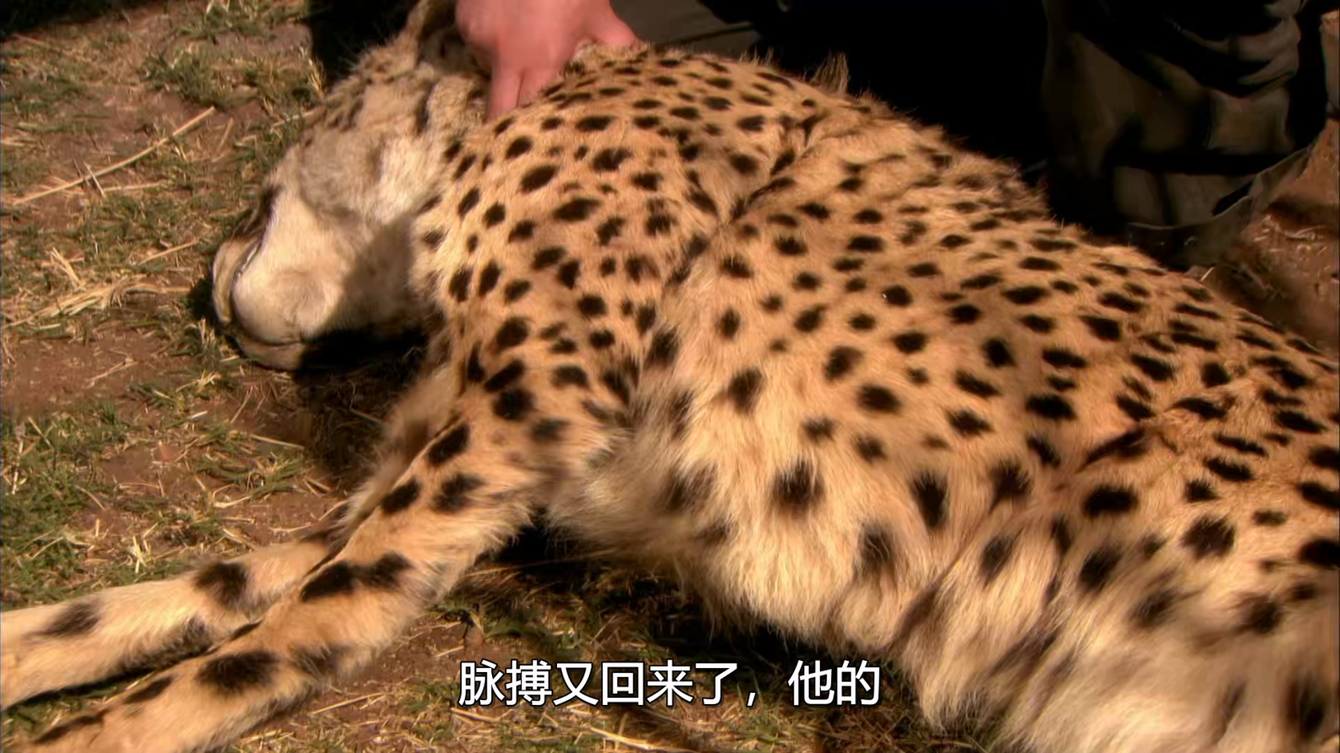 Wild.At.Heart.S03E02.1080p.AMZN.WEB-DL.mkv_20250315_233421.187.jpg