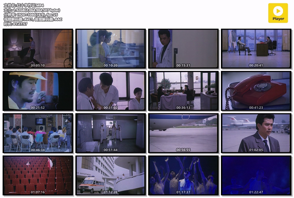 红十字作证.MP4.jpg