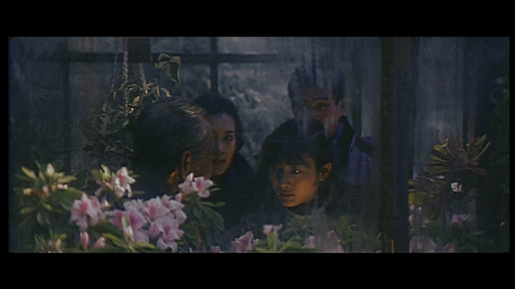弧光.MP4_20250322_113338.404.jpg