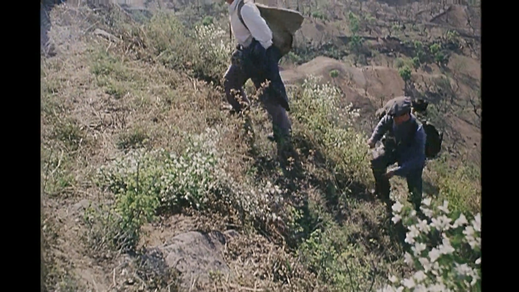 李四光.mkv_20250406_113316.169.jpg