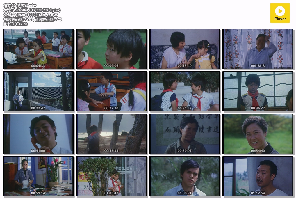梦想家.mkv.jpg