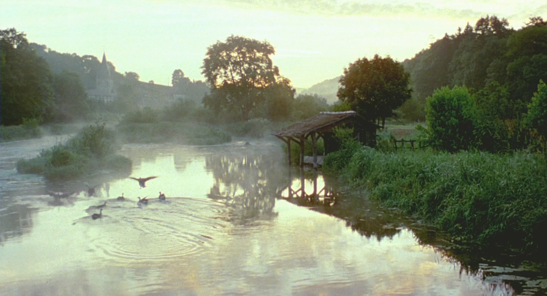 Winged.Migration.2001.Bluray.1080p.DTS.4Audio.x264-CHD.mkv_20250416_201201.341.jpg