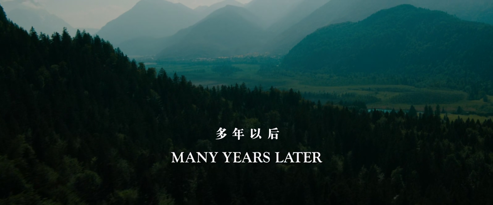 韩赛尔与格蕾特：女巫猎人.Hansel.and.Gretel.Witch.Hunters.2013.1080p.10bit.BluRay.jpg