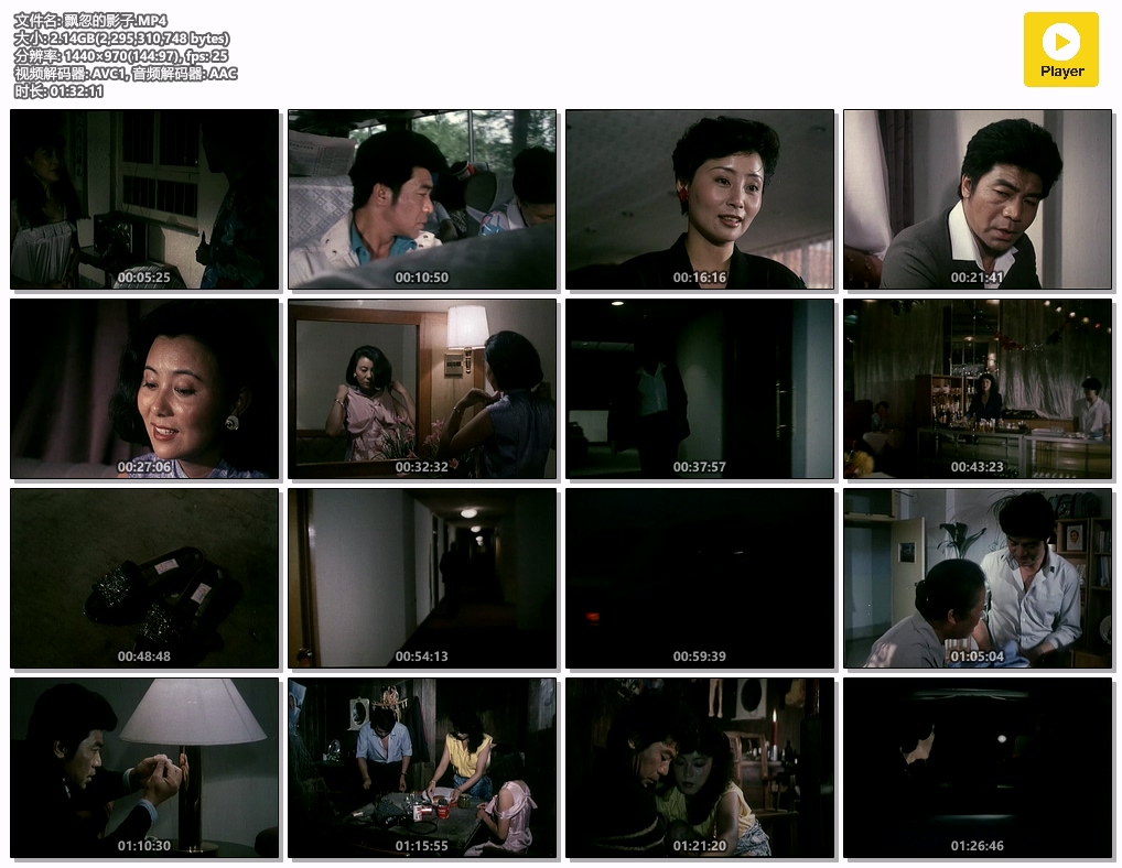飘忽的影子.MP4.jpg