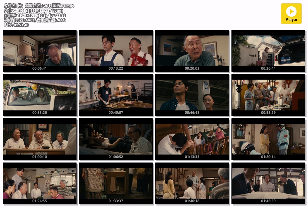 日：家族之苦2-2017国语8.4.mp4.jpg