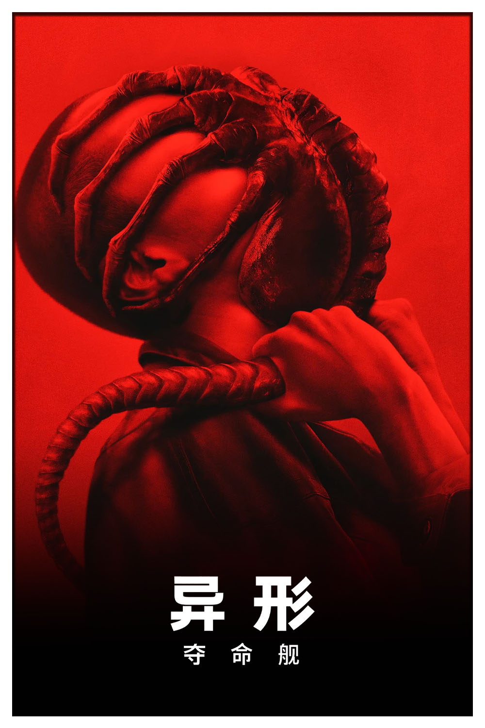 poster.jpg