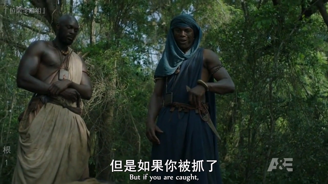 根.Roots.S01E01.中文字幕.1280×720.HDTVrip-拉风字幕组.mp4_20250502_201959.096.jpg