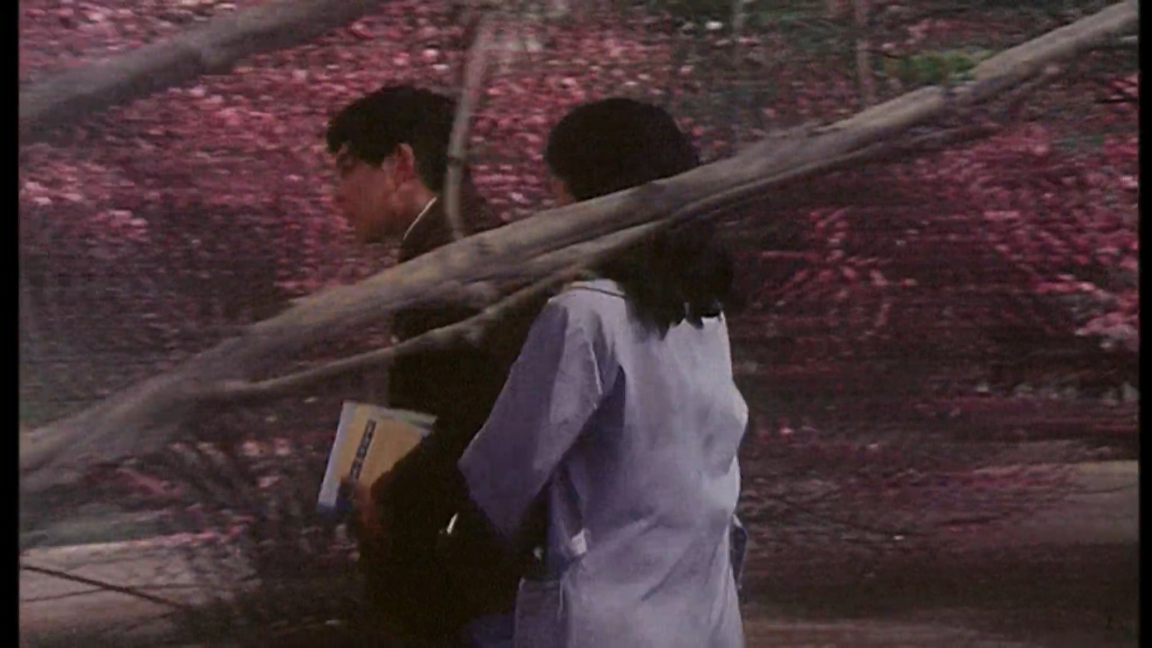 清清溪流.mkv_20250503_102416.329.jpg