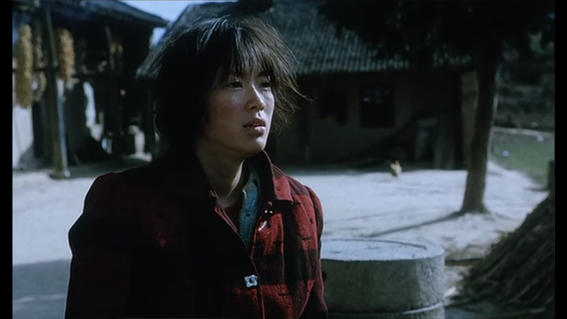 Blind.Mountain.2007.DVDRip.1080P.X265.mkv_20250505_183625.268.jpg