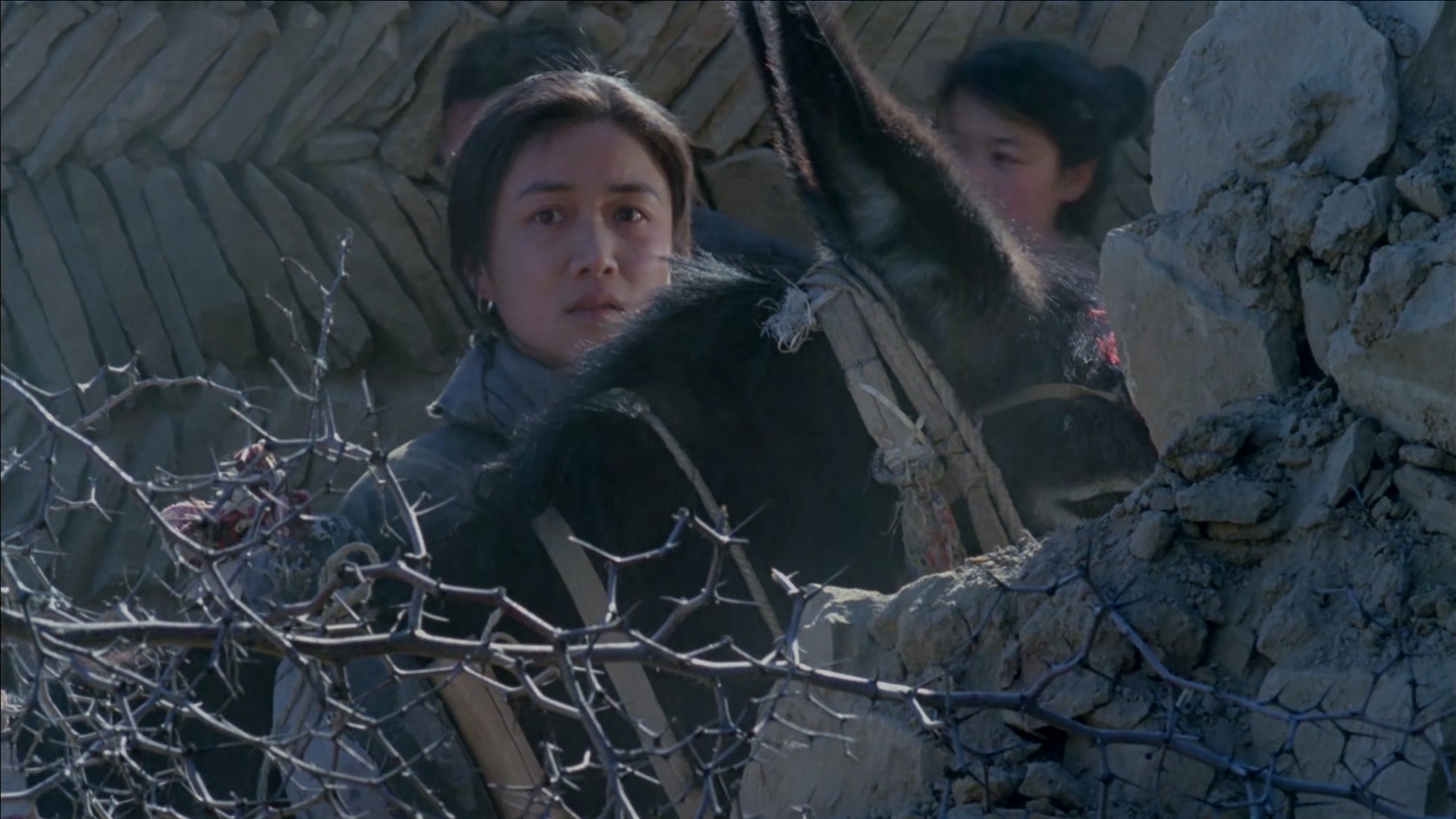 陕北大嫂.MP4_20250506_112256.559.jpg