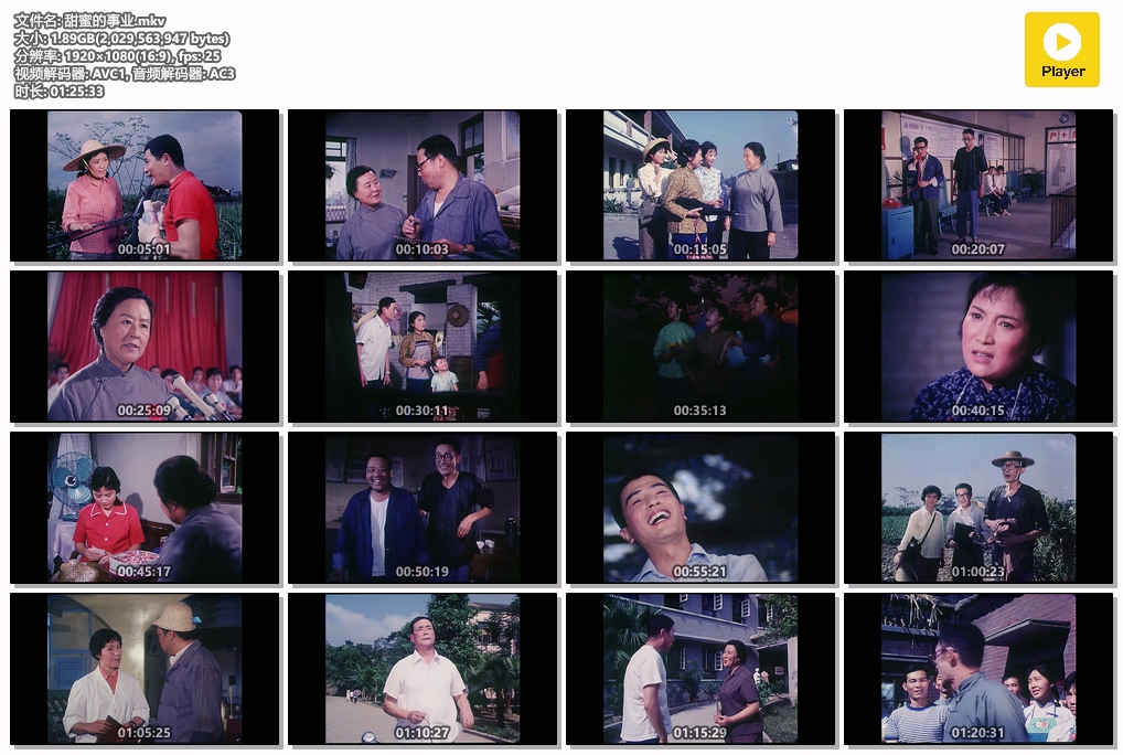 甜蜜的事业.mkv.jpg