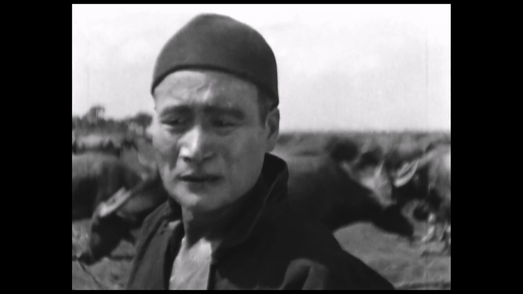 桃花泣血记.MP4_20250518_112509.311.jpg