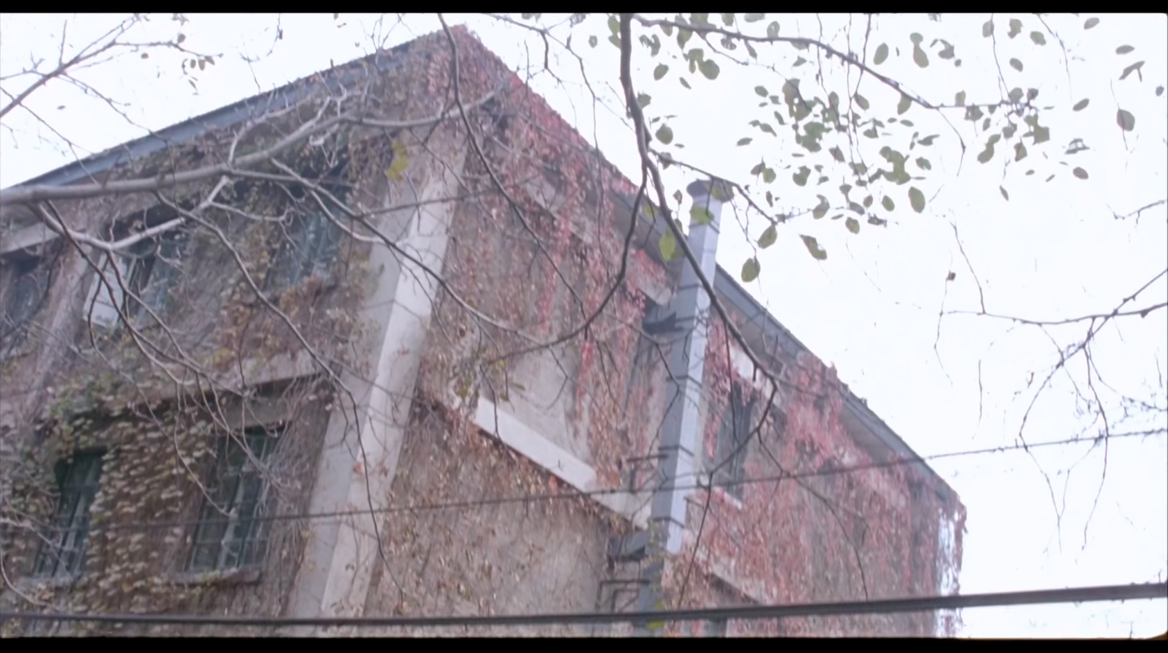 网络时代的爱情.mkv_20250520_112605.949.jpg