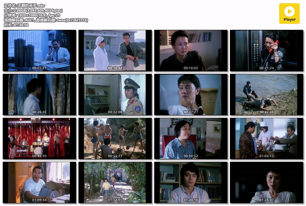 无罪的杀手.mkv.jpg