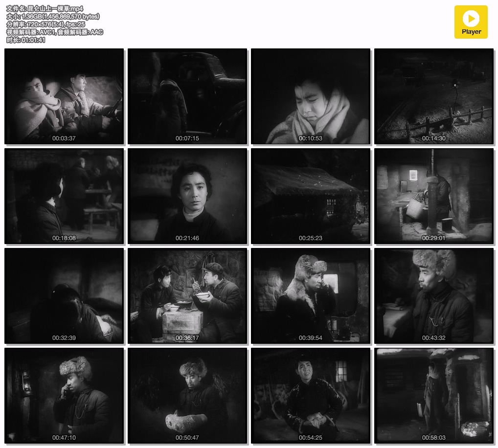 昆仑山上一棵草.mp4.jpg