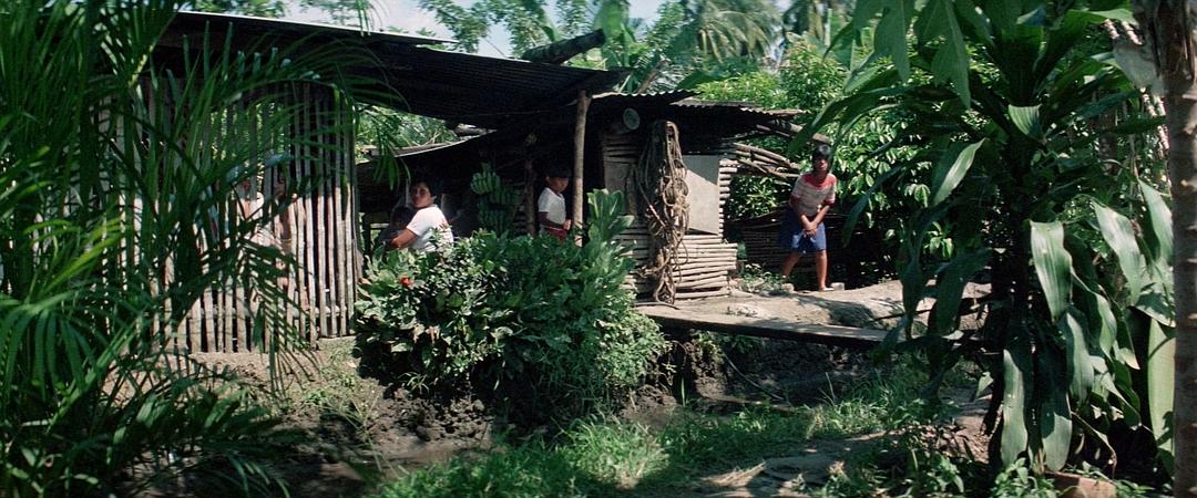 p2890427465.jpg