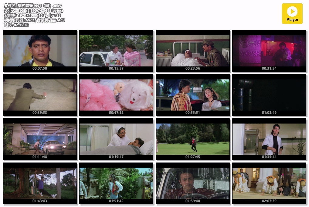 猎豹降妖1994（国）.mkv.jpg