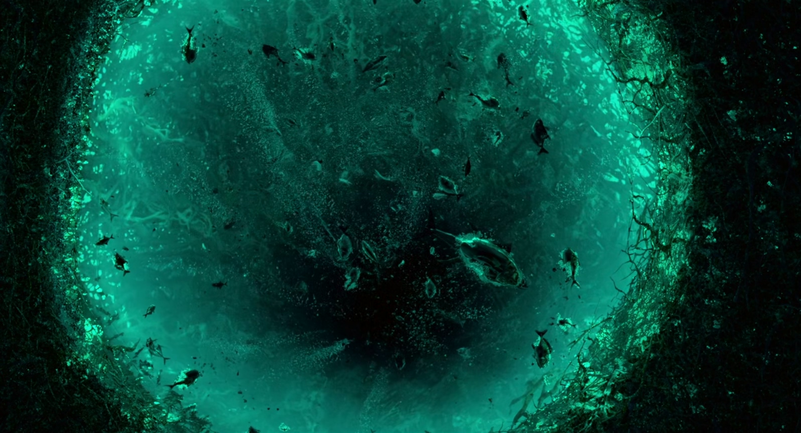 少年派的奇幻漂流.Life.of.Pi.2012.CEE.Bluray.1080p.x265.AAC(5.1).2Audios.GREENOTE.jpg