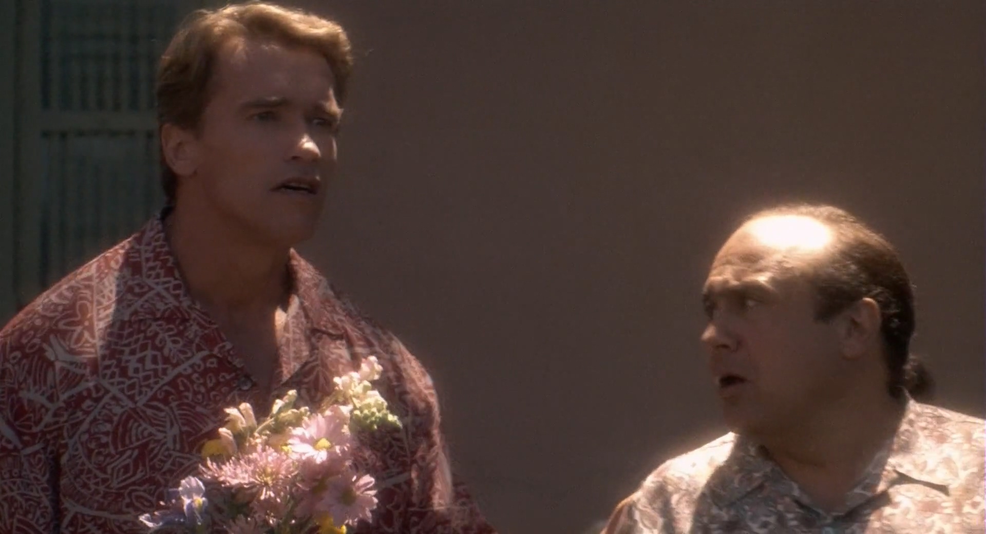 龙兄鼠弟.Twins.1988.1080p.BluRay-8484.mp4_20250604_095737.767.jpg