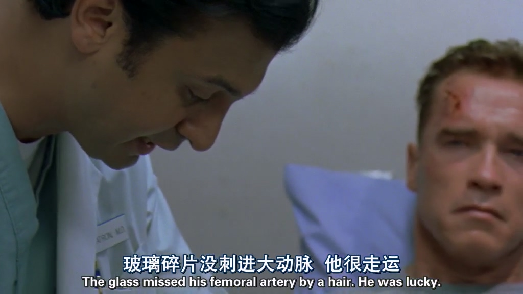Collateral.Damage.HR-HDTV.AC3.1024X576.mkv_20250604_095840.116.jpg