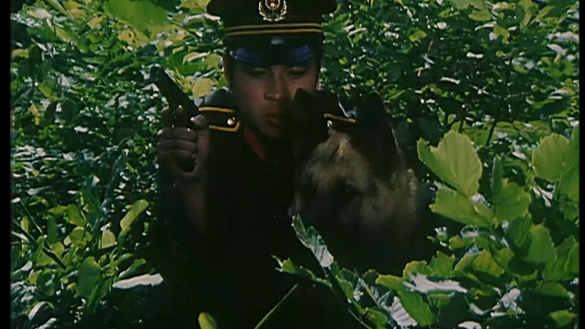 狼犬历险记.mp4_20250616_185208.677.jpg