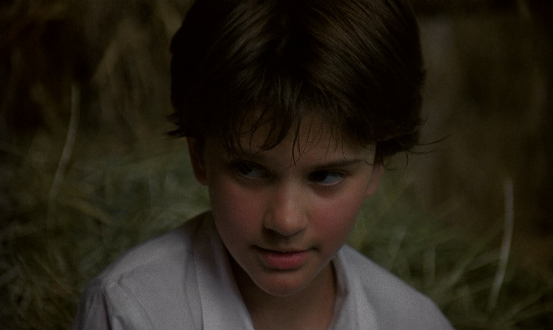 My.Life.as.a.Dog.1985.Criterion.Collection.BluRay.1080p.LPCM.1.0.x265.10bit-Drea.jpg