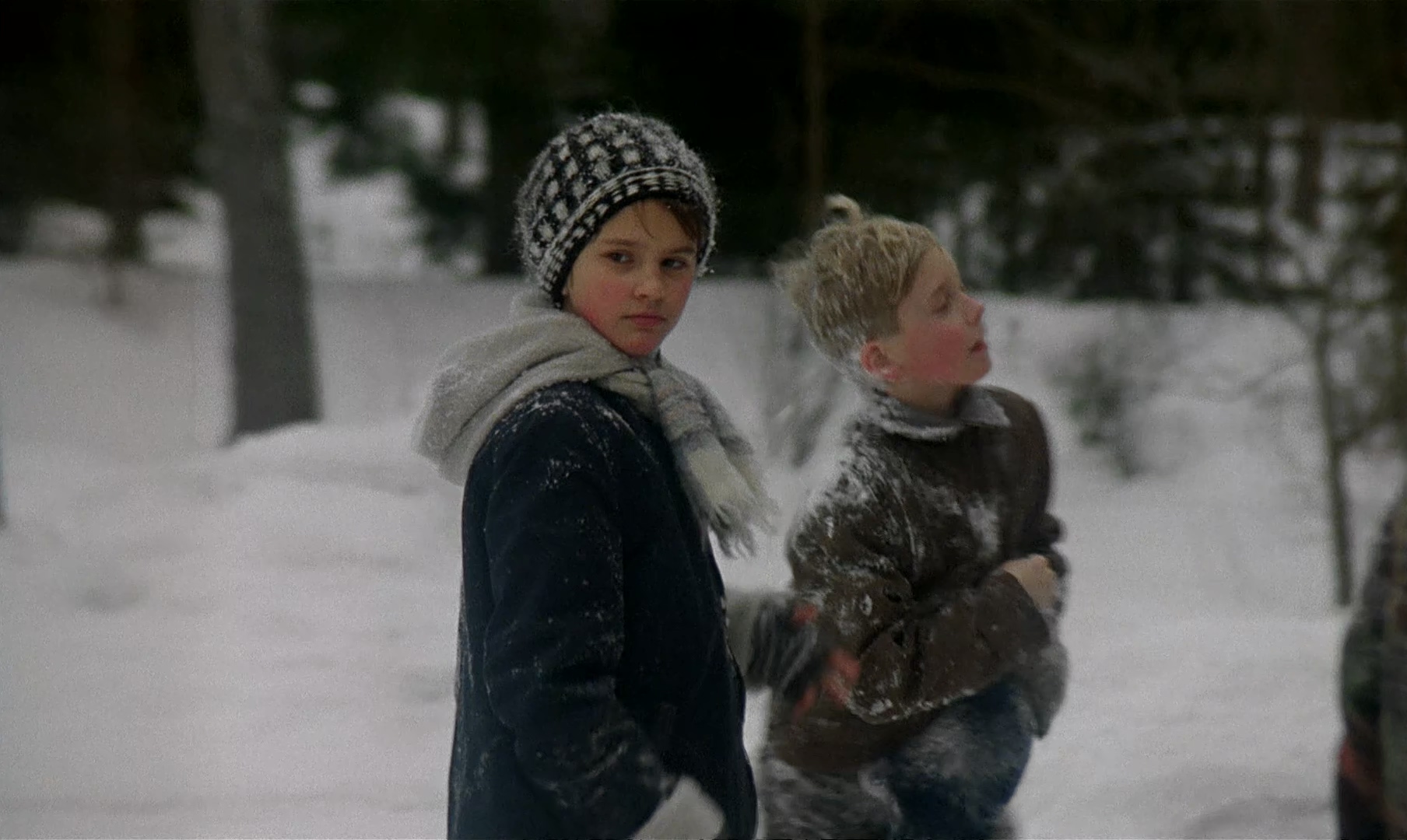 My.Life.as.a.Dog.1985.Criterion.Collection.BluRay.1080p.LPCM.1.0.x265.10bit-Drea.jpg