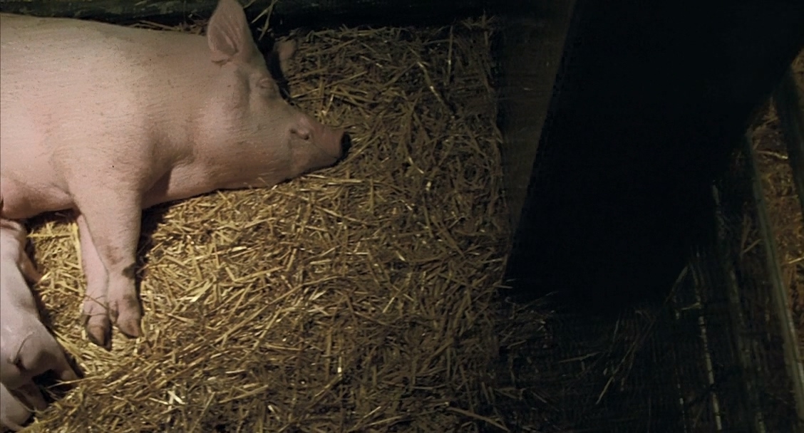 小猪宝贝.Babe.1995.608p.X264.AC3.2Audios.mkv_20250625_171159.004.jpg