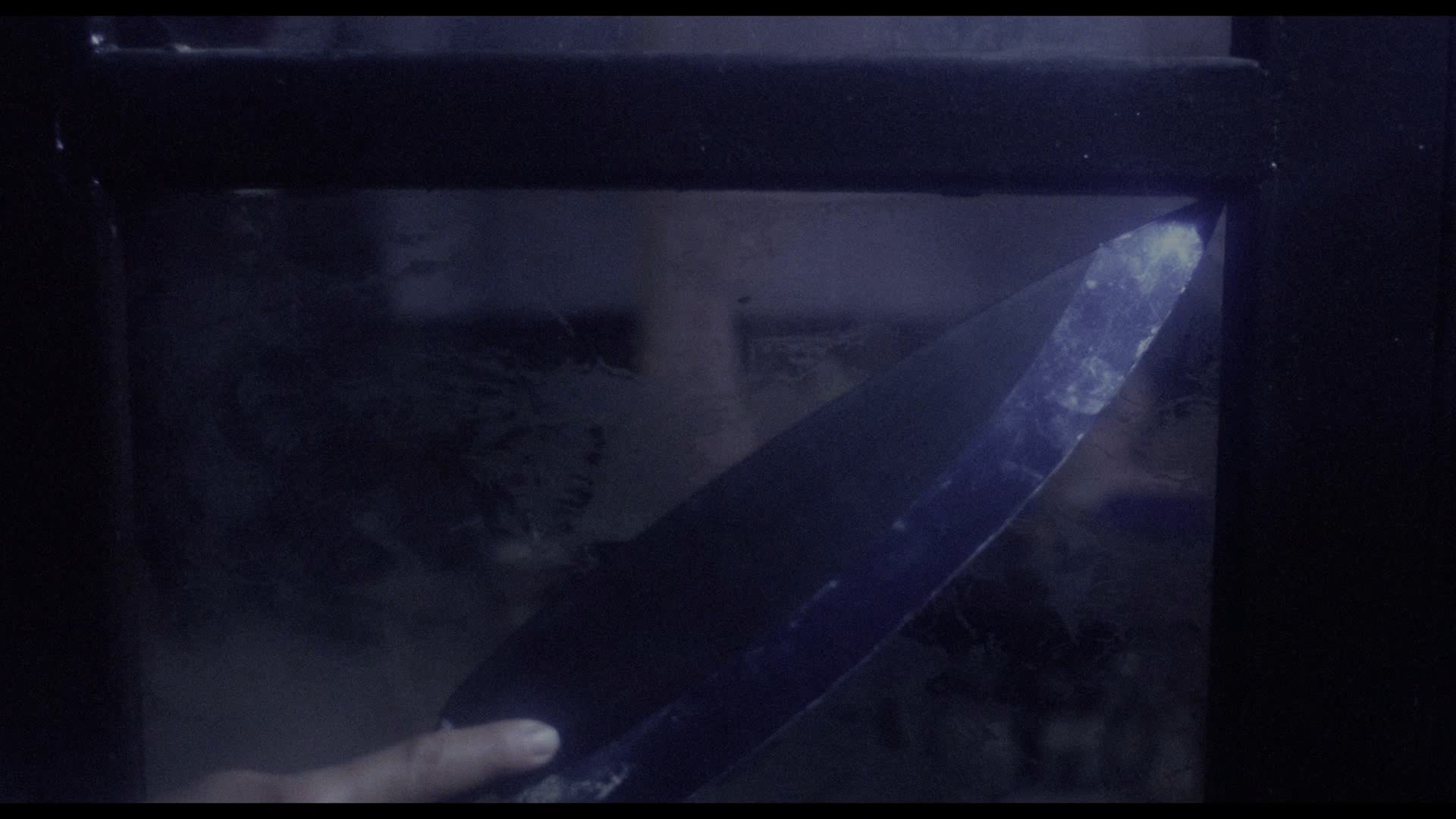 006.jpg