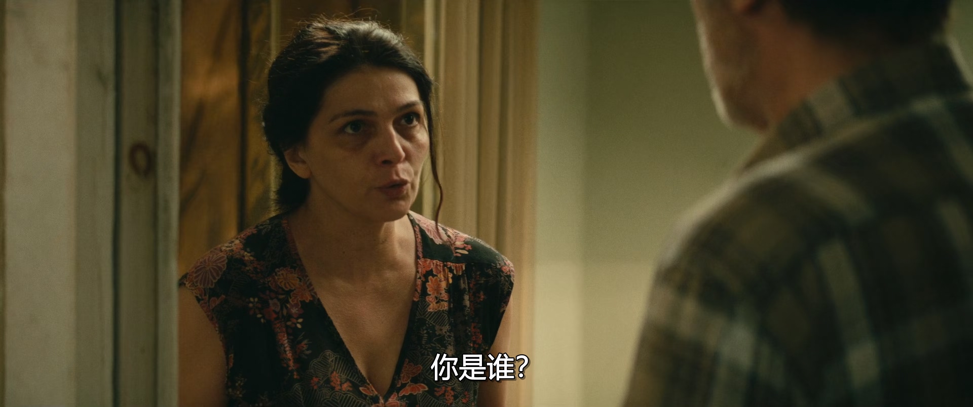 我的幸福家庭.My.Happy.Family.2017.DUBBED.1080p.WEBRip.x265.384kbps央视国格双语中.jpg