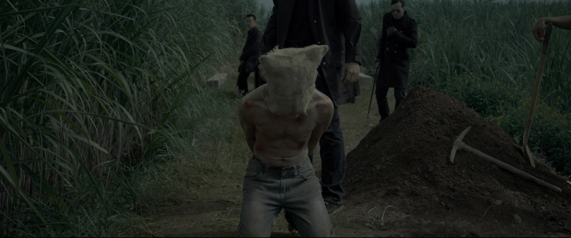 2014.突袭2：暴徒(150分钟).1080P.印语中字.mkv_20250804_234633.238.jpg