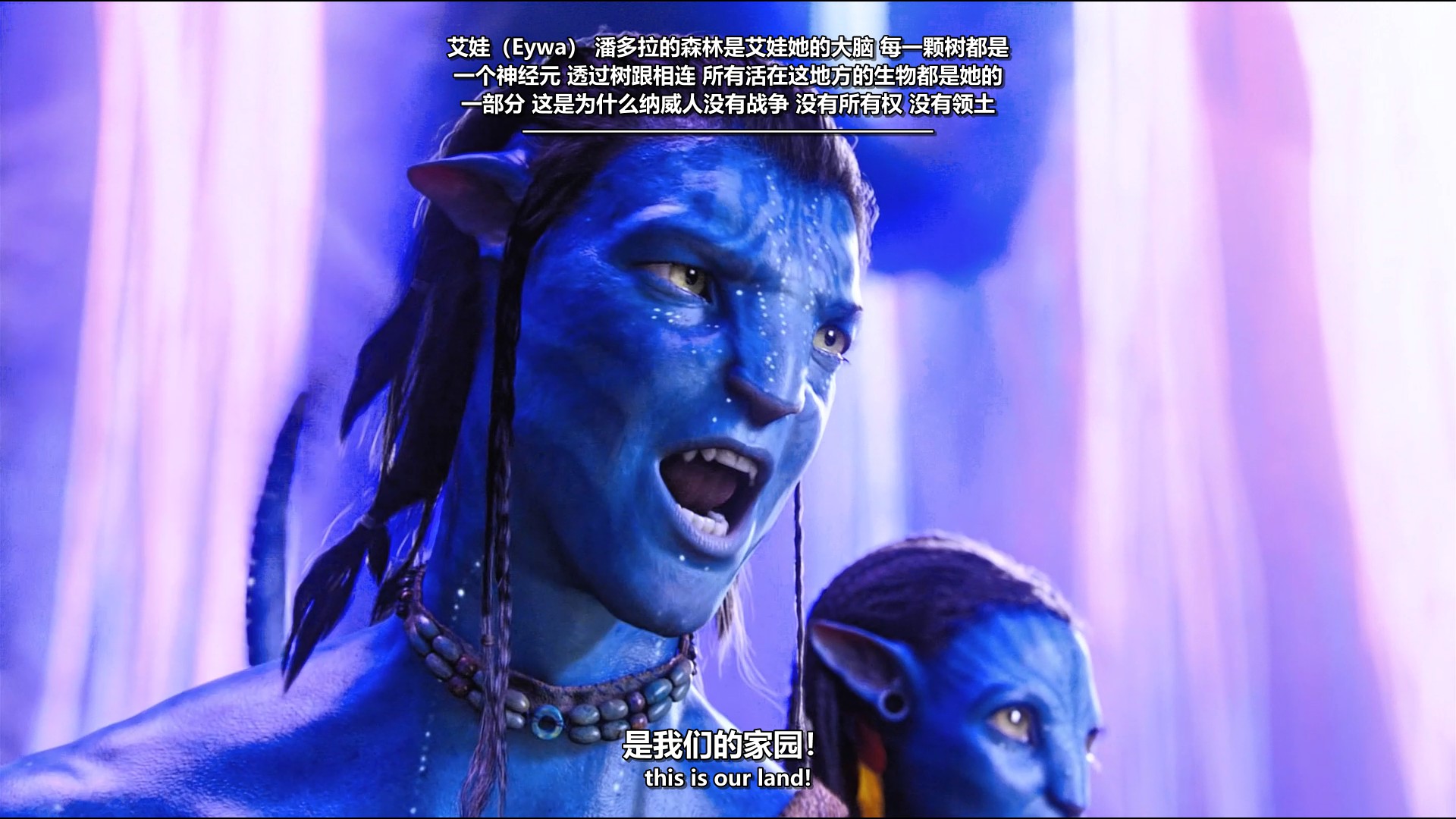b6c241c4-e933-408c-9abe-c2debd460dea.jpg