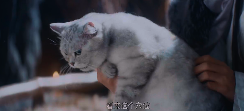 wechat_2025-09-06_152757_120.png