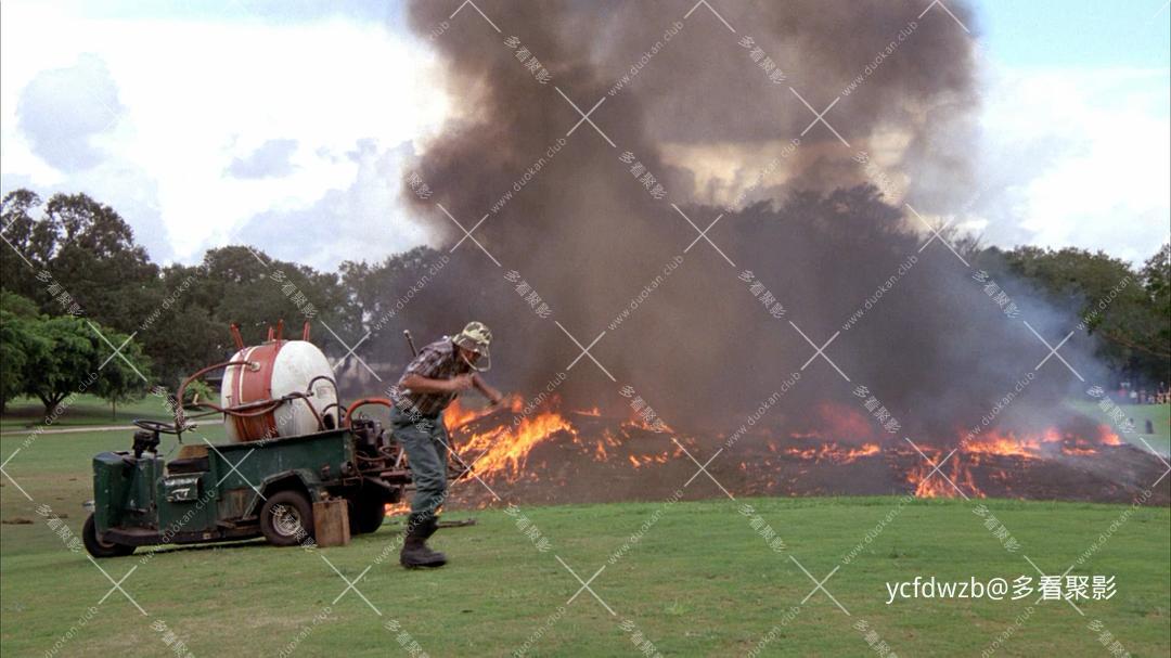 p2640826460.jpg p2640826460.jpg