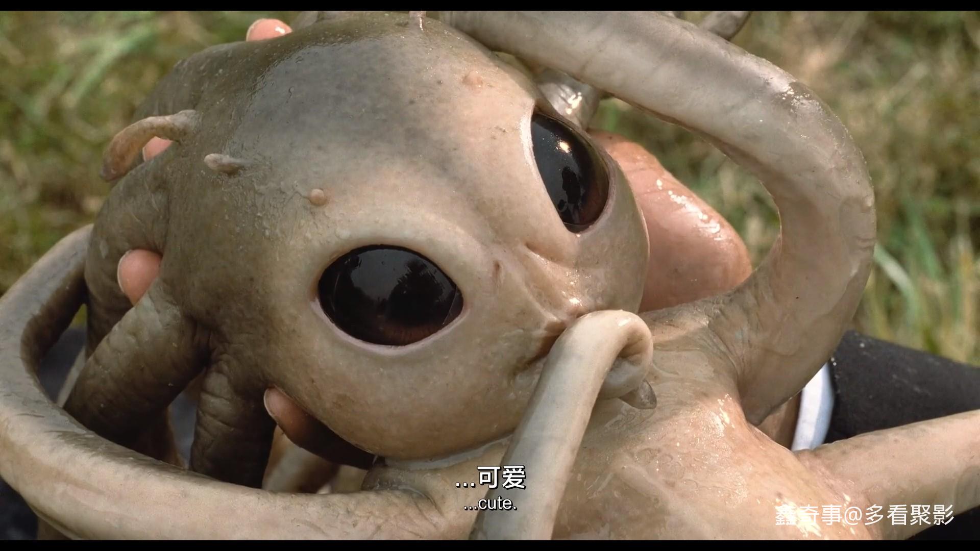 7506abe2-d109-4448-9664-b61bdaa30c14.jpg 7506abe2-d109-4448-9664-b61bdaa30c14.jpg