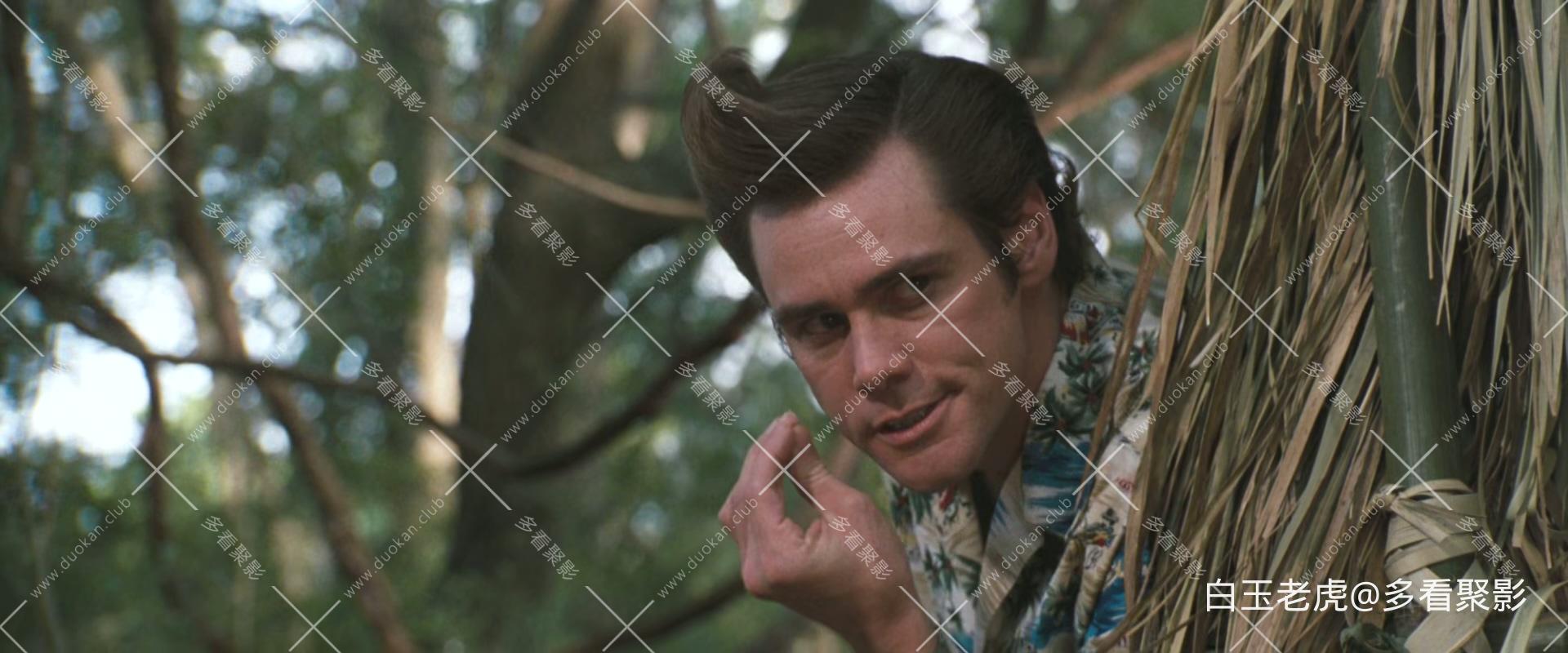 Ace.Ventura.When.Nature.Calls.1995.1080p.BluRay.x265-RARBG.mkv_20251026_094350.717.jpg