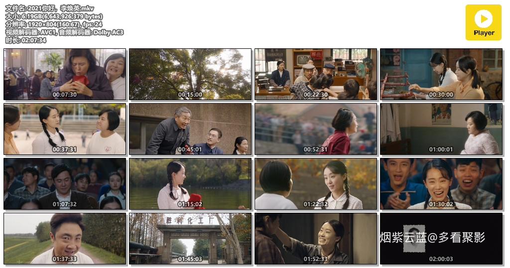 2021你好，李焕英.mkv.jpg