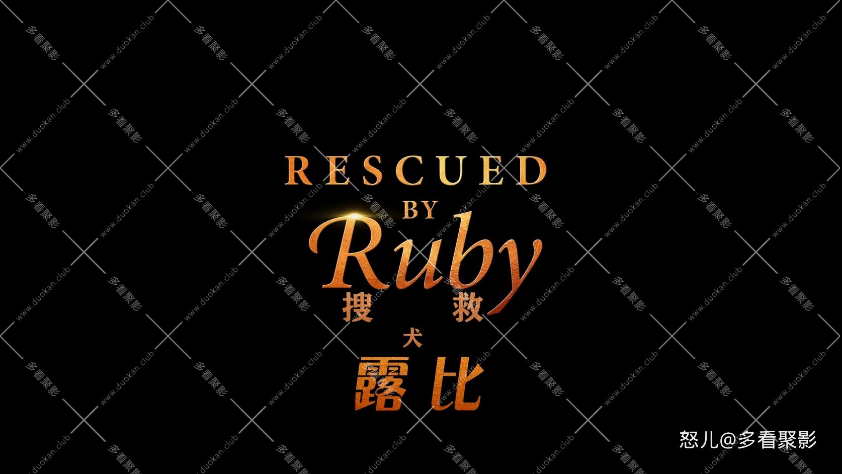 义犬救主.Rescued.by.Ruby.2022.1080p.NF.WEBrip.x265.2audio特效字幕.mkv_20251111_1.jpg