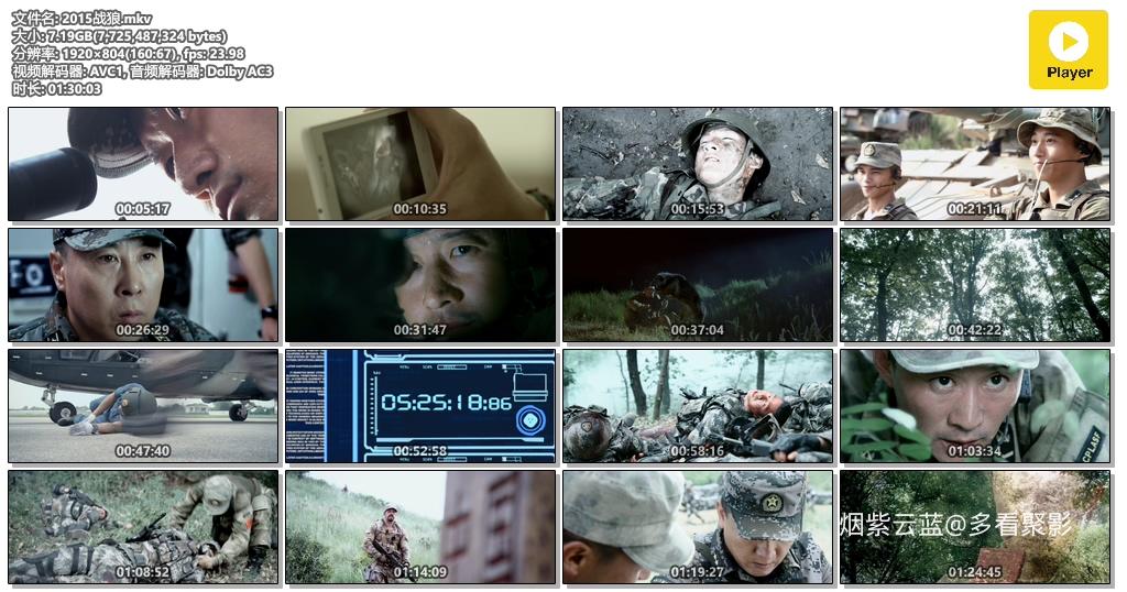 2015战狼.mkv.jpg