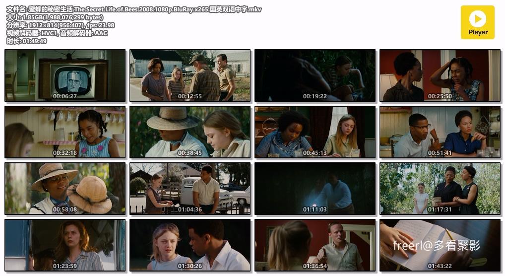 蜜蜂的秘密生活.The.Secret.Life.of.Bees.2008.1080p.BluRay.x265.国英双语中字.mkv.jpg