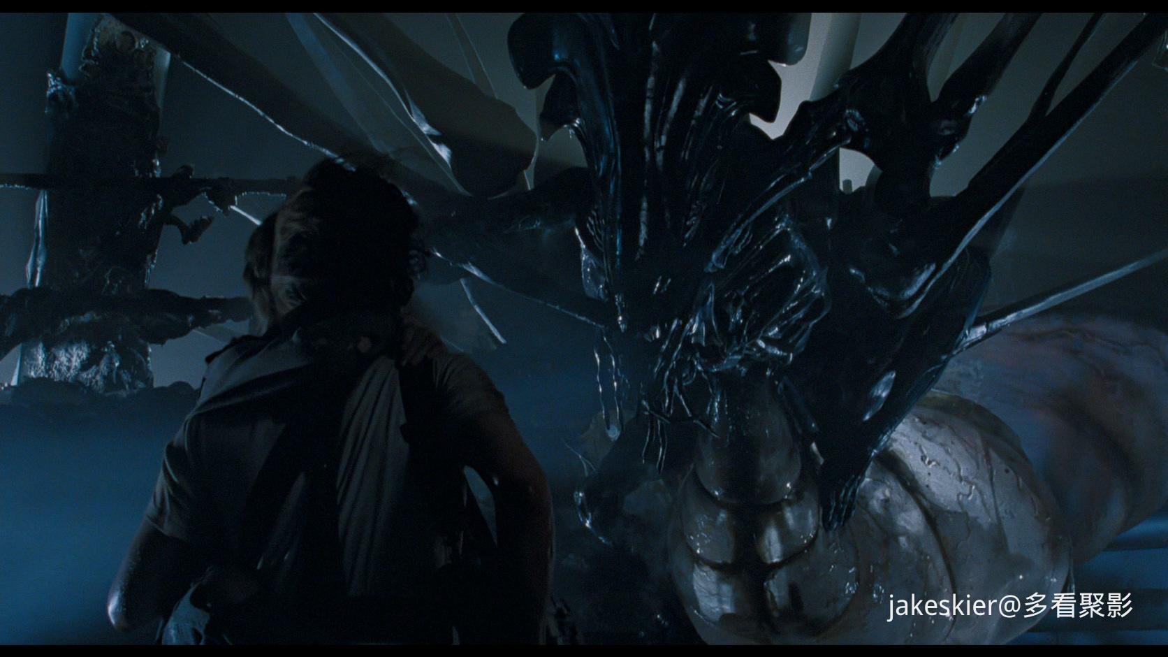 异形2 (5).jpg