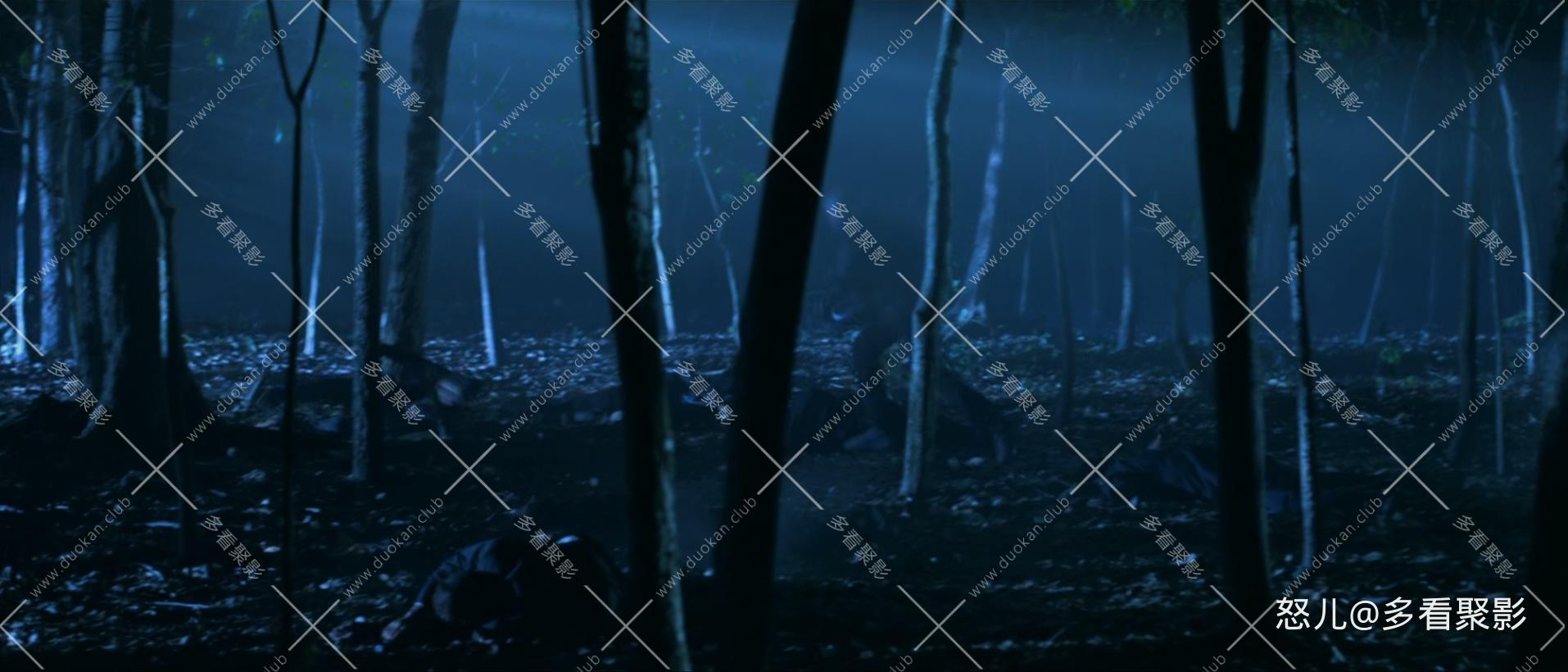 白象.Elephant.White.2011.1080p.BluRay.x265.2audio-RARBG (1).mkv_20251205_104717.735.jpg