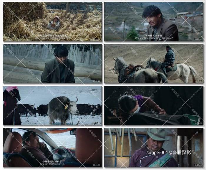 2022藏语 洛桑的家事.jpg