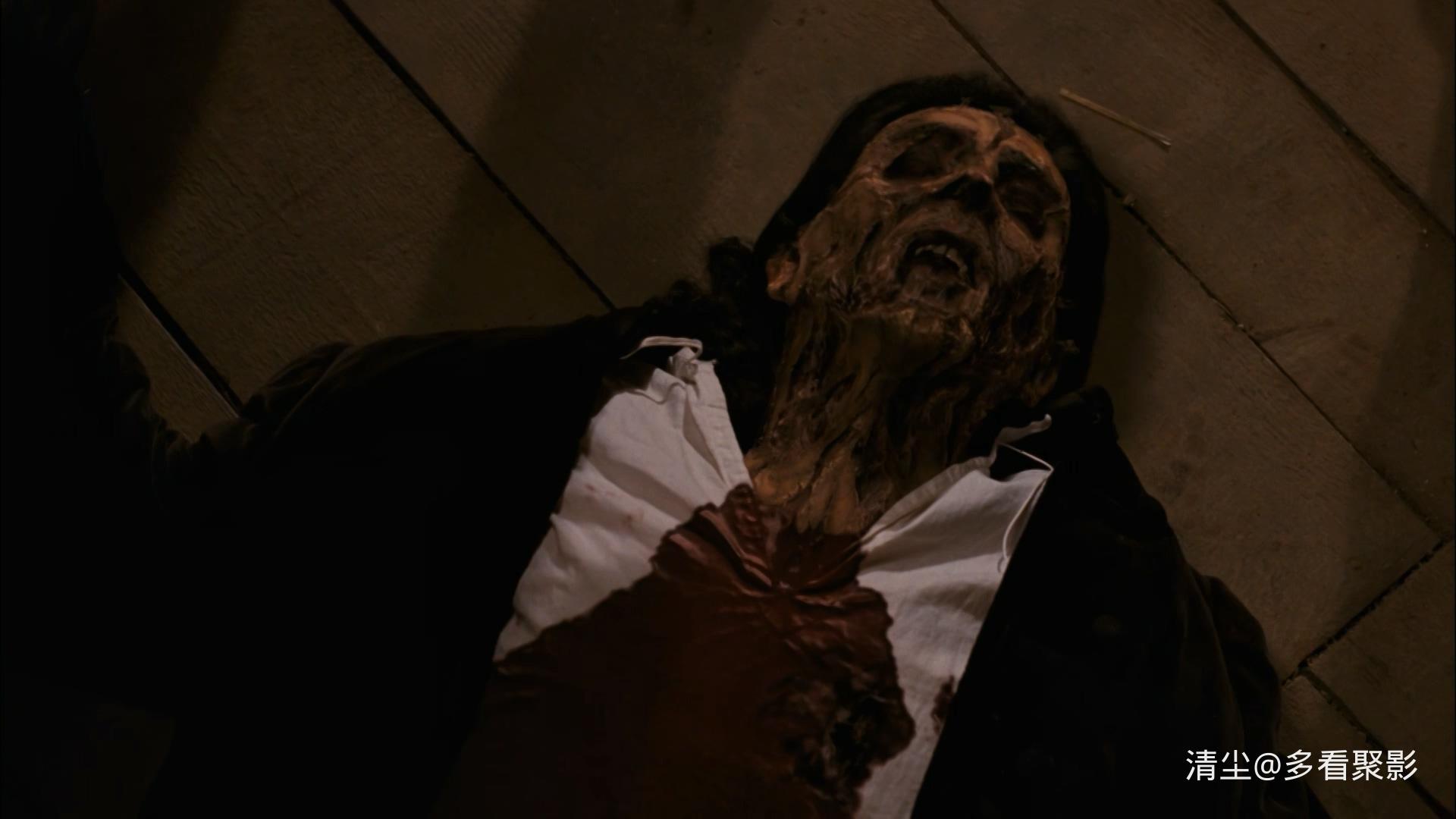 2005 吸血莱恩 BloodRayne.mkv_20251212_152212.707.jpg